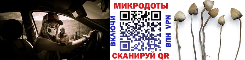 Псилоцибиновые грибы Magic Shrooms Лихославль